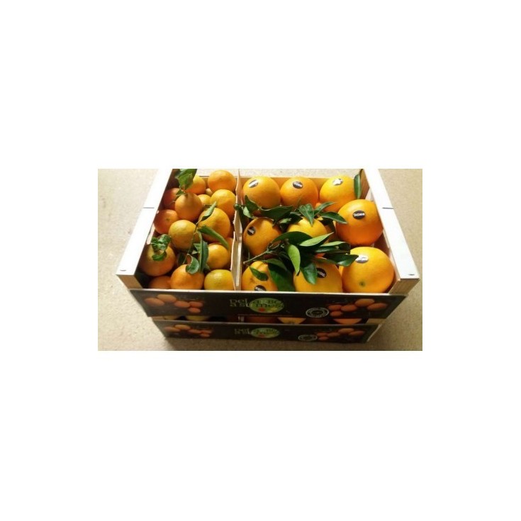 Naranjas/mandarinas de 10 Kg Aprox.