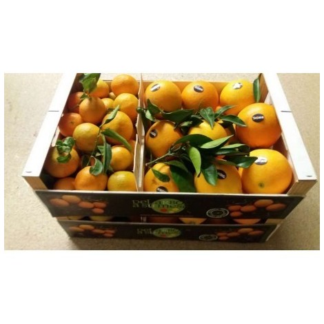 Naranjas/mandarinas de 10 Kg Aprox.