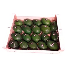 Aguacates variedad Bacon 4 Kg