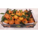 Caixa Mixta Taronja/Mandarina 15Kg