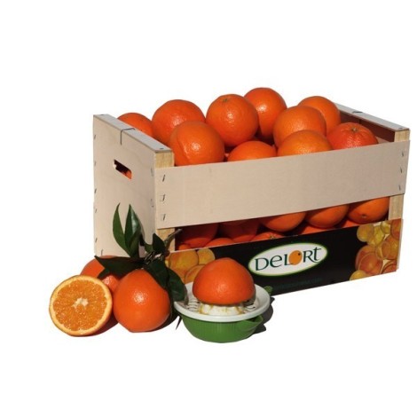 Naranjas para zumo de 15 Kg Aprox.