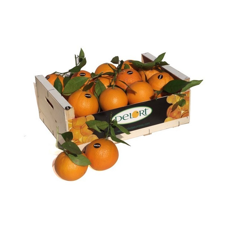 Naranjas Lane late de 10 Kg Aprox.