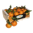 Naranjas Lane late de 10 Kg Aprox.