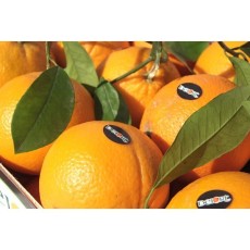 Naranjas Lane late de 10 Kg Aprox.