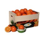 Naranjas para zumo de 15 Kg Aprox.