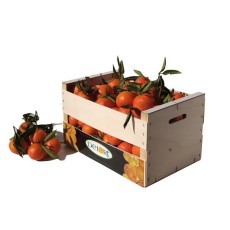 Naranjas/mandarinas 15 Kg Aprox.