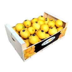 Limones 5 Kg Aprox.
