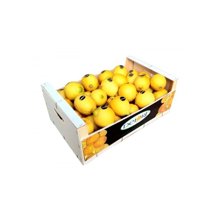 Limones 10 Kg Aprox.